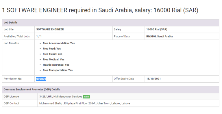 Saudi arabia software engineering jobs